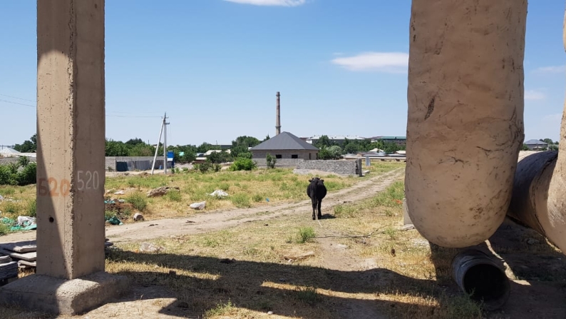 Кадастрлық нөмірі 22-329-031-051 болатын 0,1008 га жер телімі