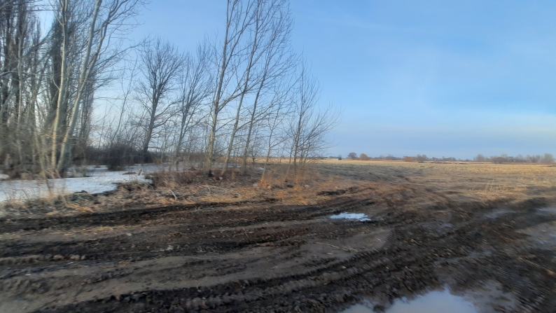 10 га жер учаскесі, кадастрлық нөмірі: 03-044-100-446