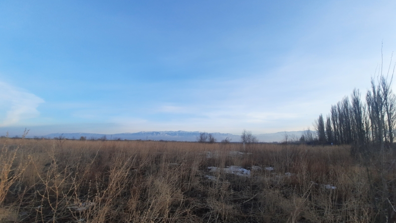 10 га жер учаскесі, кадастрлық нөмірі: 03-044-100-446