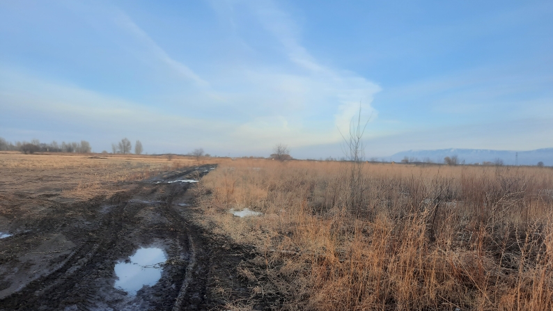 10 га жер учаскесі, кадастрлық нөмірі: 03-044-100-446