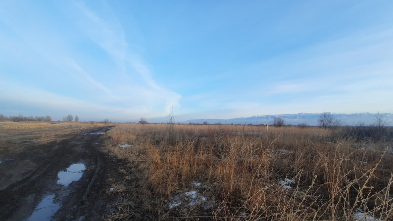 10 га жер учаскесі, кадастрлық нөмірі: 03-044-100-446