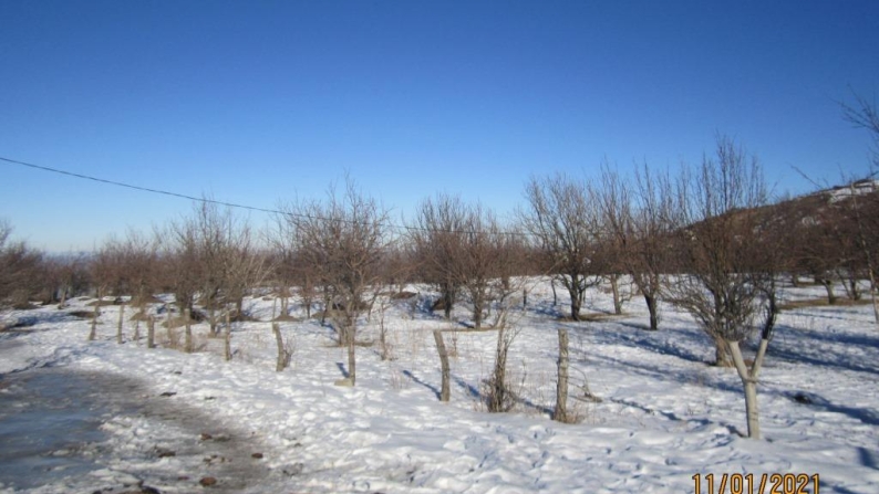 Кадастрлық нөмірі 03-047-441-700, жер учаскесі 2,5 га