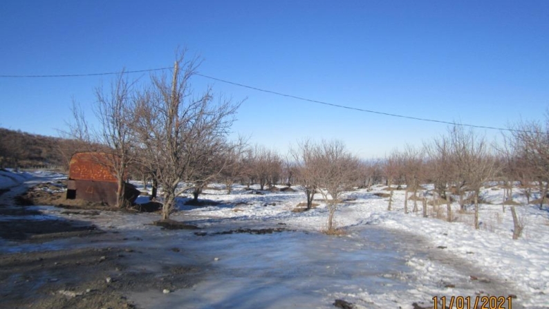 Кадастрлық нөмірі 03-047-441-700, жер учаскесі 2,5 га