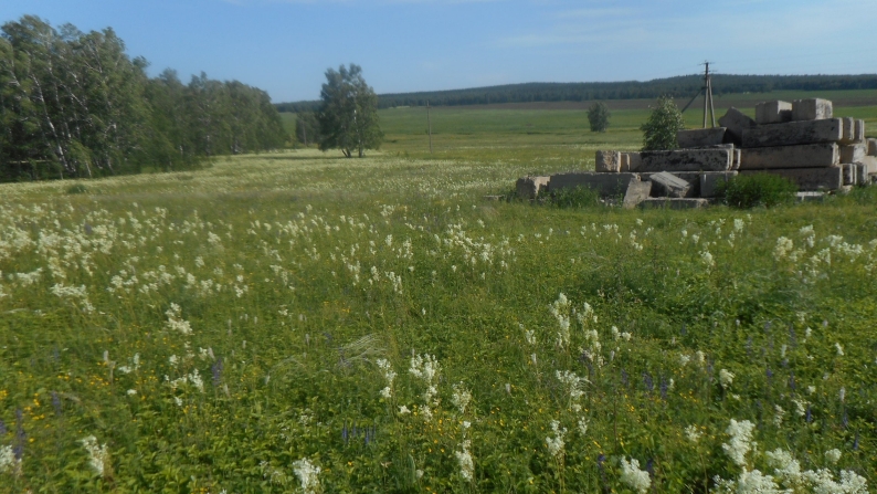 Жер учаскесі сатылады , жалпы алаңы 0,5 га.