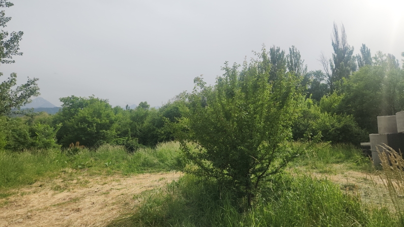 Жалпы ауданы 5,4723 га болатын жер учаскелері сатылады