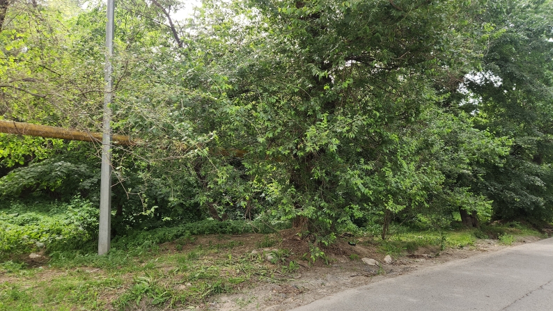 Жалпы ауданы 5,4723 га болатын жер учаскелері сатылады