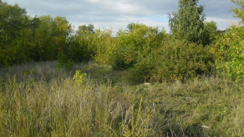 Щучинск өндірістік аймағының 0,0843 га жер учаскесі