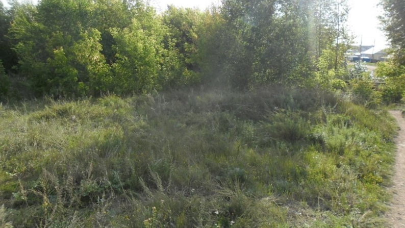 Щучинск өндірістік аймағының 0,0843 га жер учаскесі