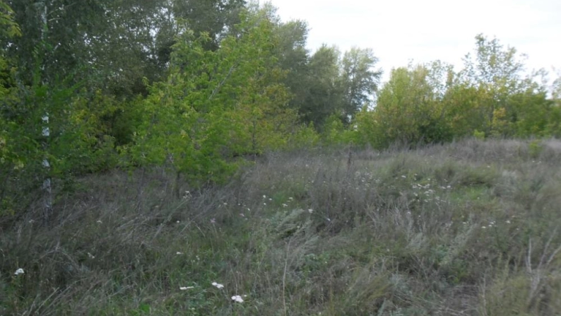 Щучинск өндірістік аймағының 0,0843 га жер учаскесі
