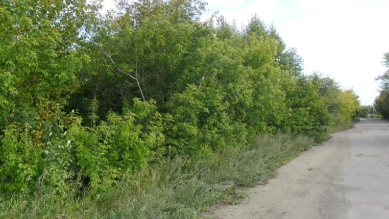 Щучинск өндірістік аймағының 0,0843 га жер учаскесі