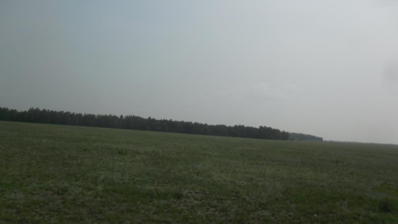 Жокей көлінің жанындағы 2,5 га жер телімі