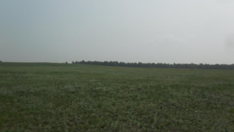 Жокей көлінің қасындағы 1 га жер телімі