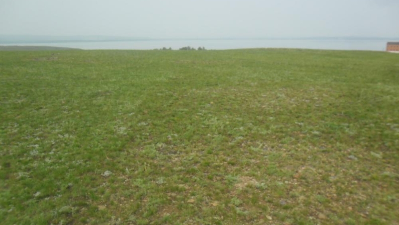 1-hectare land plot in Akmola region for a recreational area