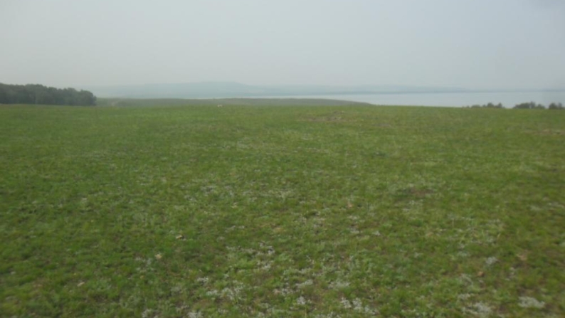 1-hectare land plot in Akmola region for a recreational area