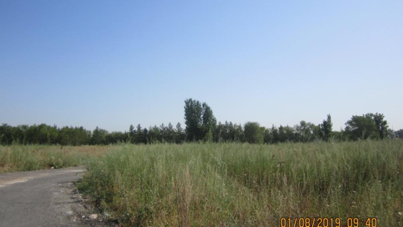 Шаруа қожалығына арналған 2,45 га жер учаскесі