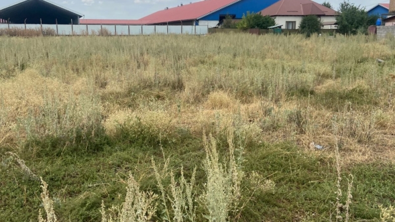 Алматы облысында шаруашылық жүргізуге арналған 1,96 га жер