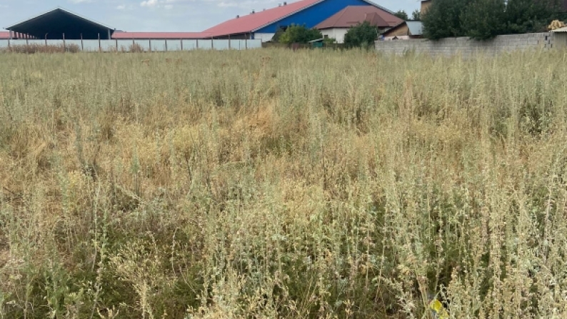 Алматы облысында шаруашылық жүргізуге арналған 1,96 га жер