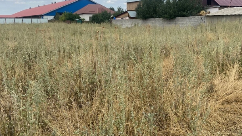 Алматы облысында шаруашылық жүргізуге арналған 1,96 га жер