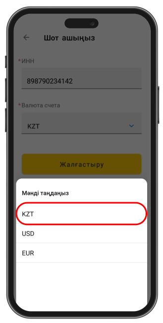Шот ашу үшін деректеріңізді енгізіңіз