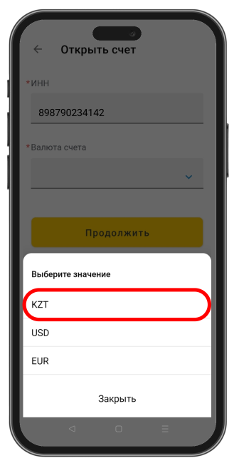 Введите данные для счёта